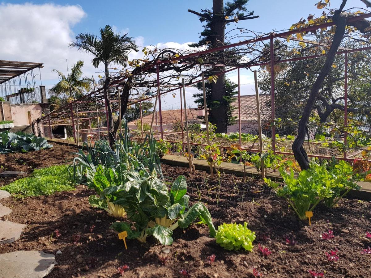 Quinta Do Bom Sucesso Lejlighed Funchal  Eksteriør billede