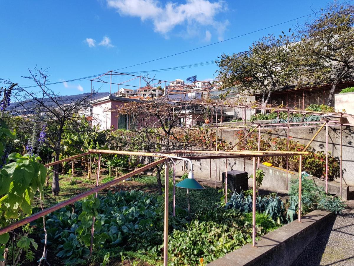 Quinta Do Bom Sucesso Lejlighed Funchal  Eksteriør billede